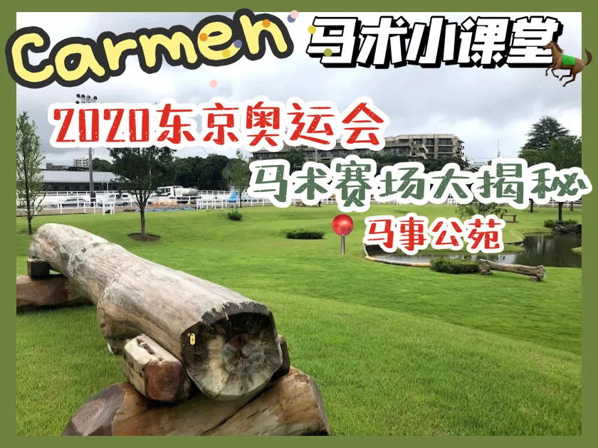 东京奥运会足球赛场热闹非凡(东京奥运会足球赛场热闹非凡视频)