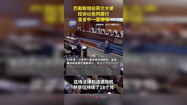 包含荷兰不敌巴勒斯坦，欧预赛小组赛受挫苦衷的词条