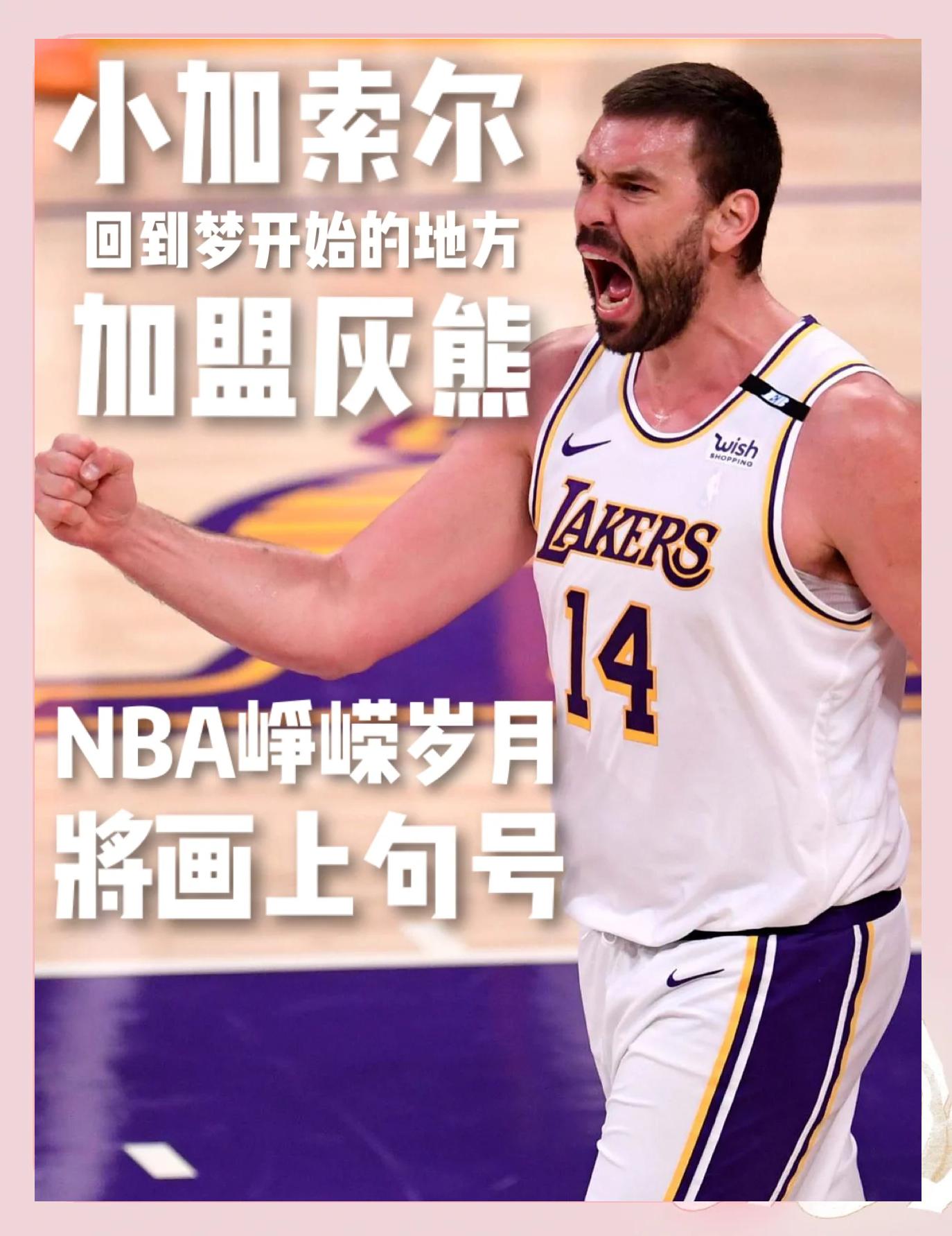 三亿体育入口-小加索尔交易失利，猛龙队寻找新合作伙伴的简单介绍